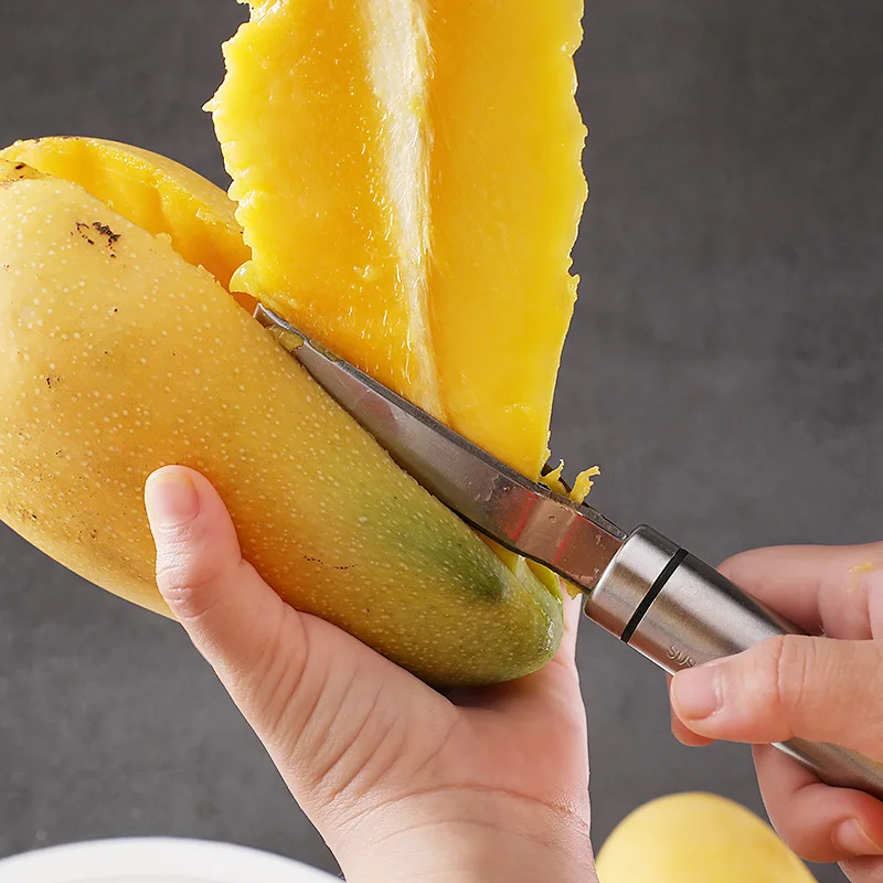 Pengiris mangga pengiris pengu - Mango Splitter Tool ulasan dan harga